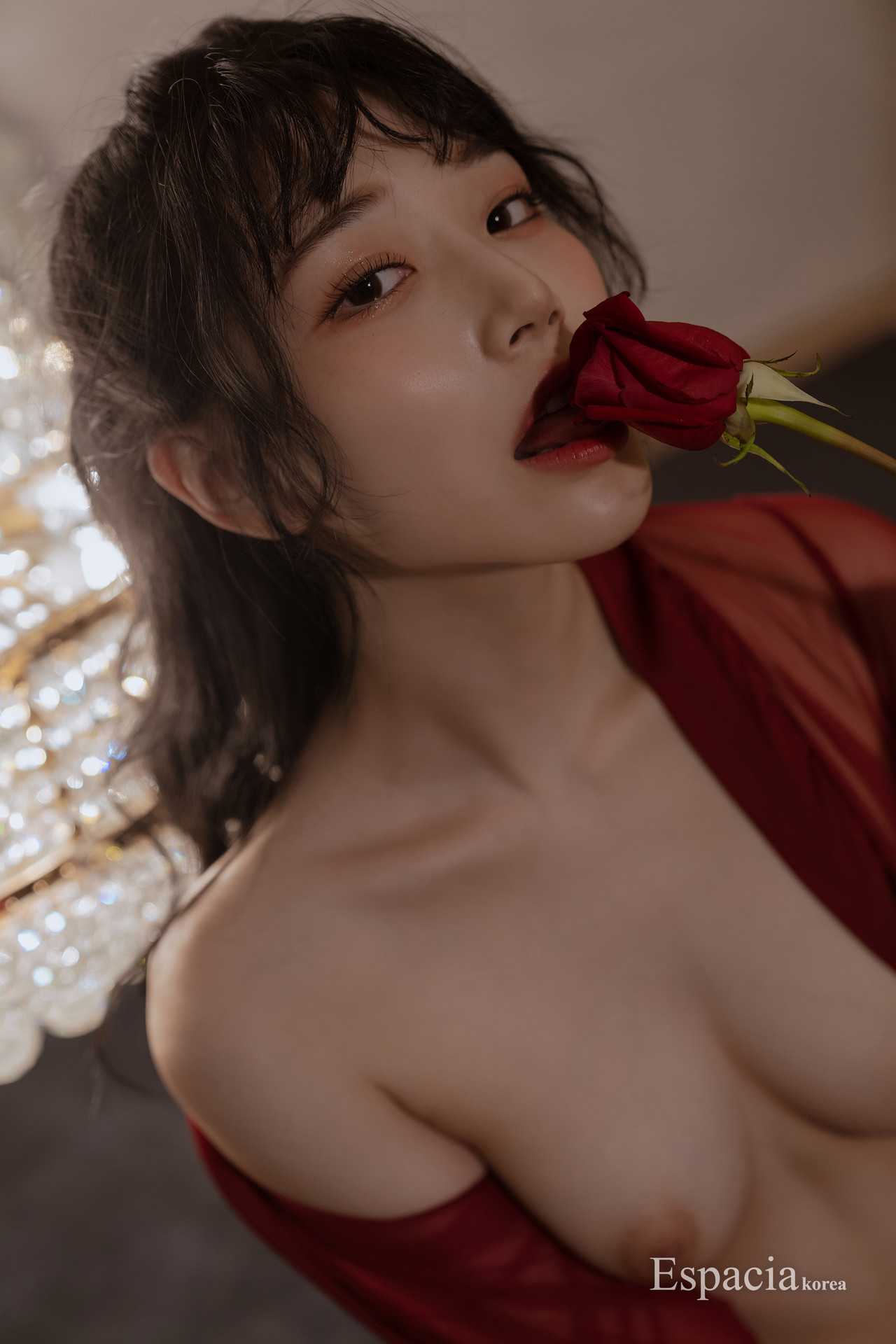 25329