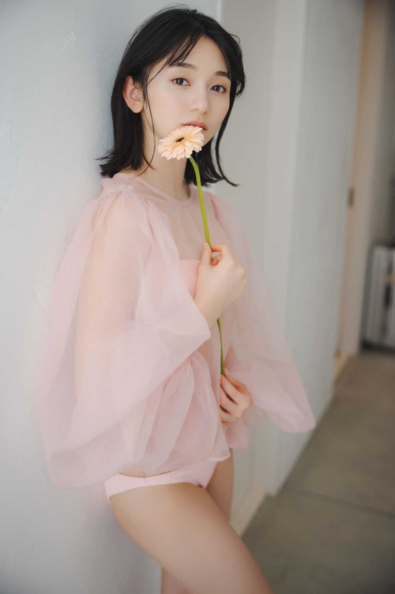 29255
